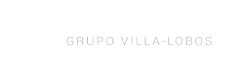 Villa-Lobos & Associados. Business consulting desde 1998.